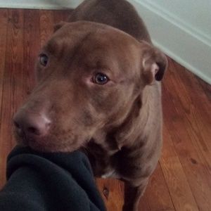 Meet your Posher, Rebecca